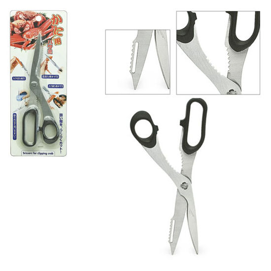 Picture of ECHO KITCHEN SCISSOR S/S 8"L (bk)(12x12)