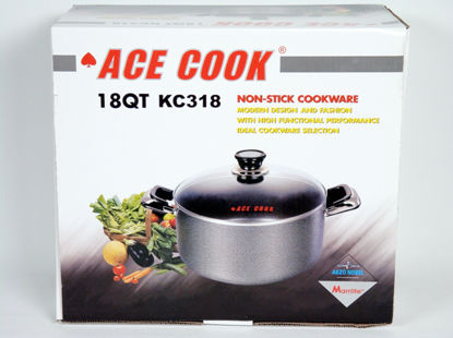 Picture of ACE 18 QT A/L POT (4/CS)